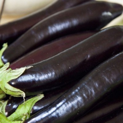 UGRA Hybrid Dark Purple Long Eggplant Seed(3000 per packet)