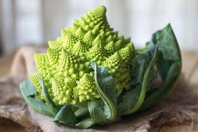 WILLVINE SYN -XVI ROMANESCO Broccoli Broccoflower [25g] Seed(7500 per packet)