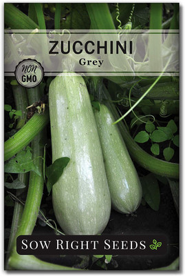 CYBEXIS ATS-16 - Grey Zucchini - (225 Seeds) Seed(225 per packet)