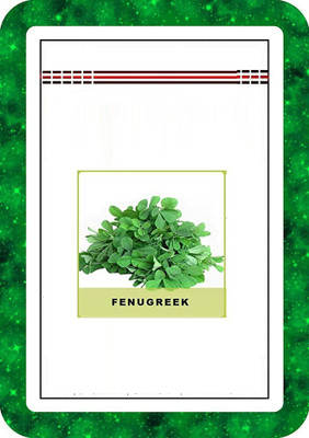 CYBEXIS Fenugreek/Methi700 Seeds Seed(700 per packet)