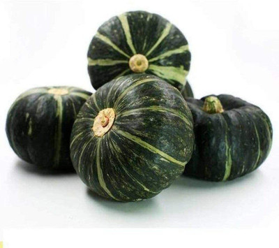 CYBEXIS Pumpkin Seeds Spherical Dark Green Squash100 Seeds Seed(100 per packet)