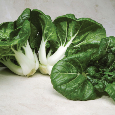 Atlus TOY CHOY (HYBRID)/PAK CHOI Seed(80 per packet)