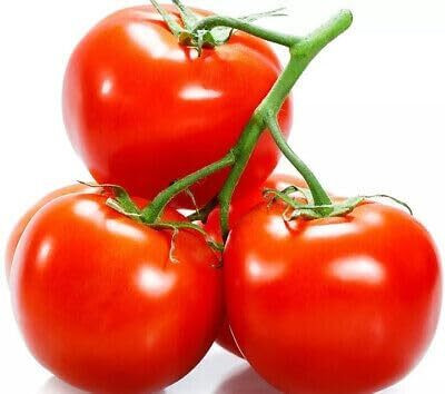 KNESSiN Heat Tolerant Tomato Delicious Fresh Healthy Seeds - (400 Seeds) Seed(400 per packet)