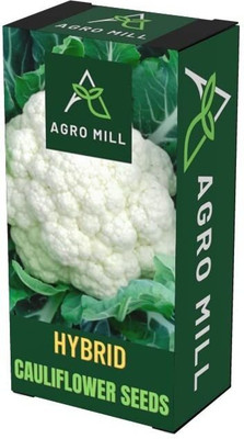 WILLVINE GBPUT -IX Hybrid C-6069 Cauliflower [10g, 3000 Seeds] Seed(3000 per packet)