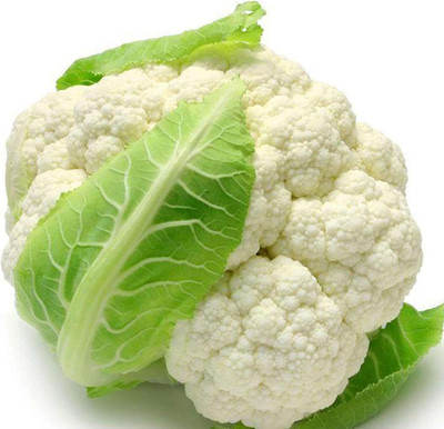 KNESSiN QLI-48 Cauliflower Seed(500 per packet)