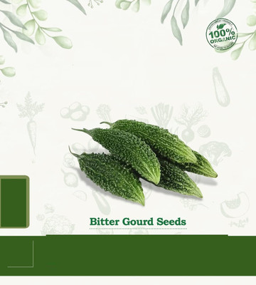 Qualtivate XLL-349 High Growth Hybrid Bitter Gourd (Karela) Seed(50 per packet)