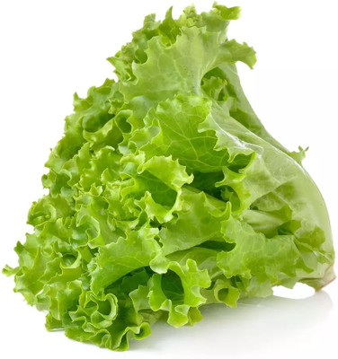 VIATION Lettuce green longleaf Seed(250 per packet)