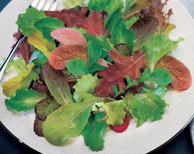 Qualtivate RES-9A Salad Mix Mesclun Seeds Seed(300 per packet)
