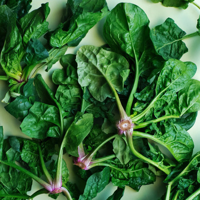 GREENSEA Palak/Spinach Seed(82 per packet)