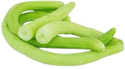 Lorvox Long Melon/Kakri/Tar (Arminian Cucumber) Seed(275 per packet)