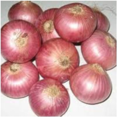 Quentova Onion Pyaj-RAJ-11W Seed(300 per packet)