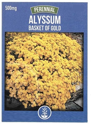 Biosnyg Yellow Alyssum Seeds-[50 Seeds] Seed(50 per packet)