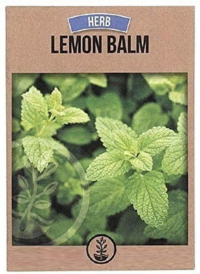 KNESSiN Lemon Balm Seed(50 per packet)