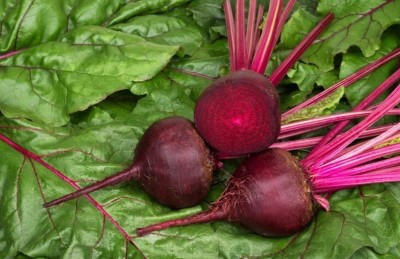 MYLAWN High Quality Red Beauty Beetroot Seed(100 per packet)