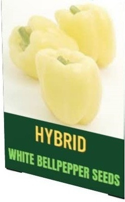 Qualtivate GBPT-7A Imported Capsicum White Ivory Seeds Seed(100 per packet)