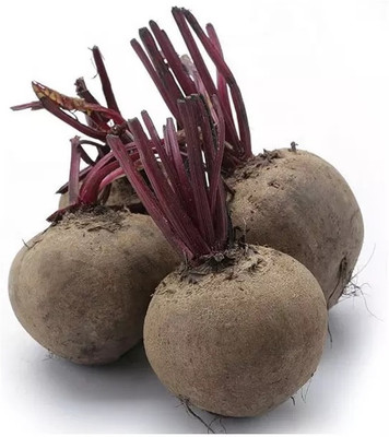 CEZIUS High Growing Red Beet Organic-a12C Seed(160 per packet)