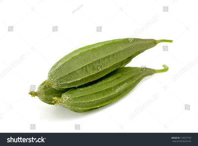 Paudhaa FI QUALITY RIDGE GOURD Seed(21 per packet)