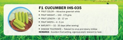 CYBEXIS F1 CUCUMBER IHS-035(500 Seeds) Seed(500 per packet)