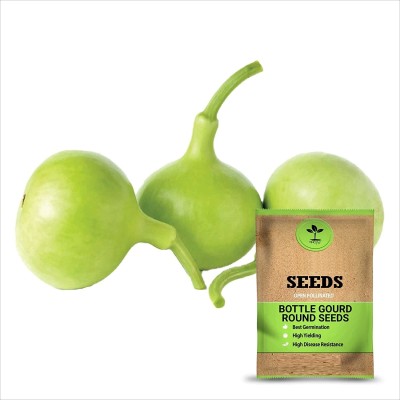 VibeX Hybrid पूसा संतुष्टि (Poosa Santushti Bottle Gourd)-(50 Gms, 250 Seeds) Seed(250 per packet)