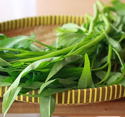 BDSresolve water spinach seeds Seed(595 per packet)