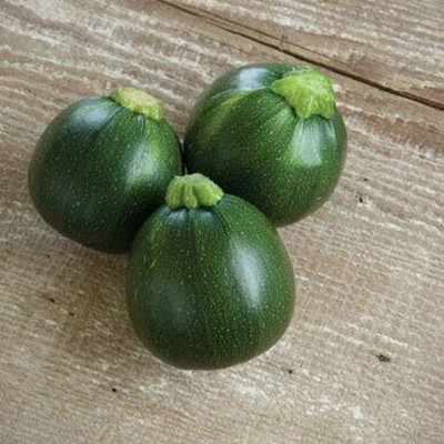 Qualtivate HYB-6A Zucchini Round Eight Ball Seed(30 per packet)