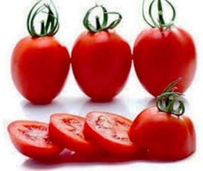 CYBEXIS Avinash-2 Hybrid Tomato1000 Seeds Seed(1000 per packet)