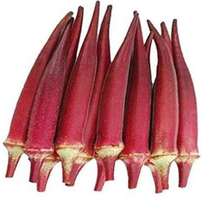 wequality red ladies finger seeds/ladies finger seeds 69 Seed(69 per packet)
