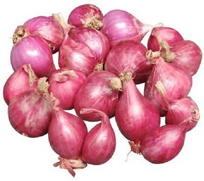 Cloud Farm Small Shallot Onion Seed(70 per packet)