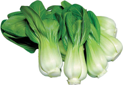 WILLVINE HAR -VI Toy Choi Chinese Cabbage Seeds [50g] Seed(15000 per packet)