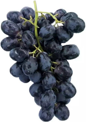 Quentova अंगूर के बीज Black Grapes Fruit-VS-4W Seed(50 per packet)