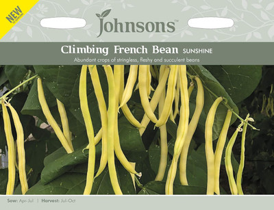 KNESSiN French Bean Seed(400 per packet)