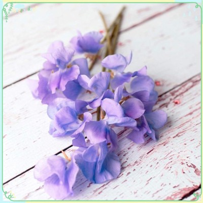 Qualtivate PUA-3A Sweet Pea - Noel Sutton Seed(200 per packet)