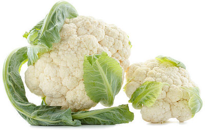 Oliver white cauliflower,gobhee seeds Seed(45 per packet)