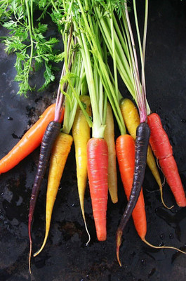 Qualtivate HUA-9A Rainbow Blend Carrot Seeds Seed(300 per packet)
