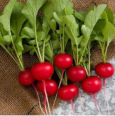 Aywal Mooli Seed(1200 per packet)