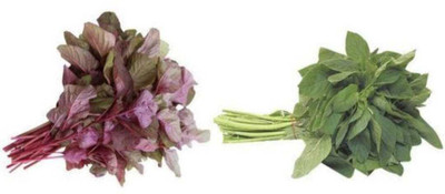 FRESHO All Mixed Vegetable Seeds Seed(225 per packet)