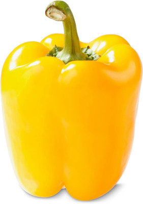 Kirat (Shimla Mirch) / शिमला मिर्च Capsicum Yellow Seed(100 per packet)