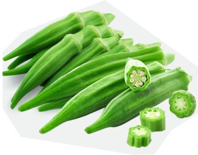 Quentova Okra Lady Finger /Green Okra Seeds-NST-2A Seed(150 per packet)