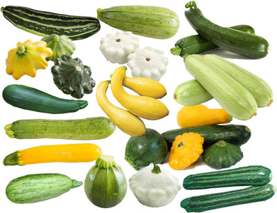 Qualtivate PUA-1A Zucchini and Squash Mix Seeds Seed(30 per packet)