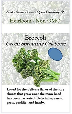 Qualtivate HUA-7A F1 Hybrid Broccoli Aria Seed(300 per packet)