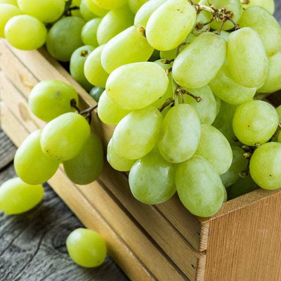 PASCLE Extra Sweet green grapes Seed(50 per packet)