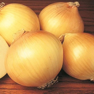 Avysa Yellow Sweet Onion Seed(200 per packet)