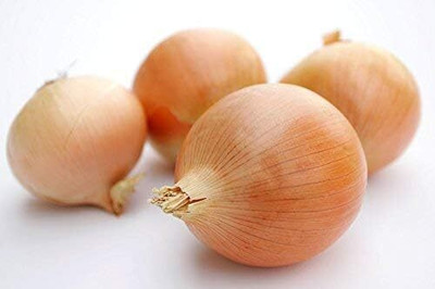 Qualtivate HUA-7A Riverside Sweet Spanish Onion Seeds Seed(500 per packet)