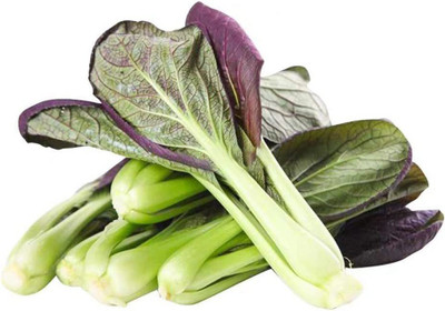 CYBEXIS Red Pak Choi Seeds1000 Seeds Seed(1000 per packet)