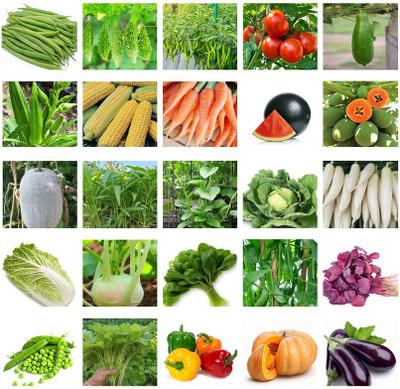 the green dotcom 20 Variety Of Vegetable Seeds Combo Pack Seed(2150 per packet)