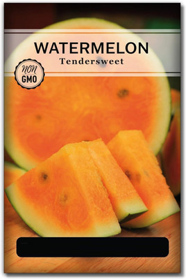 KNESSiN F1 Hybrid Tendersweet Watermelon Fruit Seeds For Planting-(100 Seeds) Seed(100 per packet)