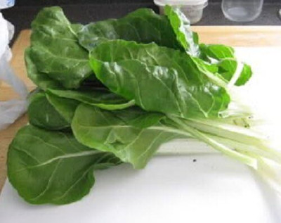 KNESSiN BARESE Swiss Chard White Rib Perpetual Spinach [400 Seeds] Seed(400 per packet)