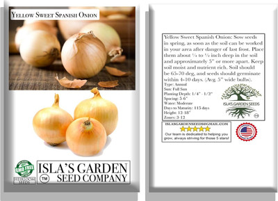WILLVINE PUAS -VI Yellow Sweet Spanish Onion Seeds [10g] Seed(7500 per packet)