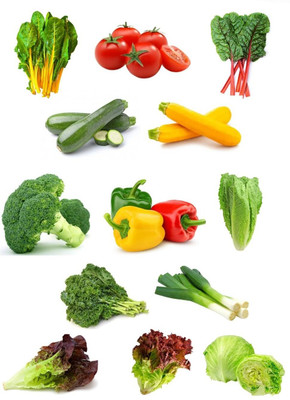 CRGO Exotic Vegetables Seeds Combo | 15 Varieties | 4000+ Seeds Seed(5200 per packet)