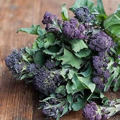 Qualtivate PUA-3A Broccoli Purple (Purple) Seed(300 per packet)